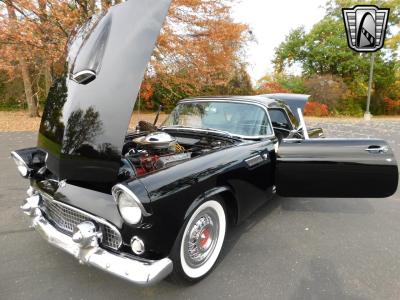 1955 Ford Thunderbird