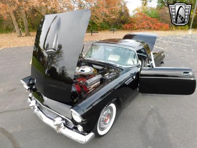 1955 Ford Thunderbird