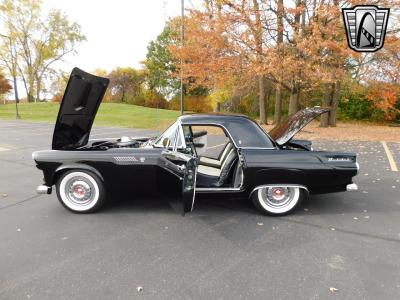 1955 Ford Thunderbird