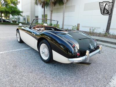 1960 Austin - Healey 3000