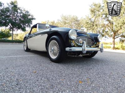 1960 Austin - Healey 3000