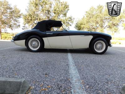 1960 Austin - Healey 3000