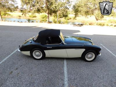 1960 Austin - Healey 3000