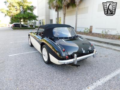 1960 Austin - Healey 3000