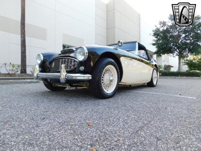 1960 Austin - Healey 3000