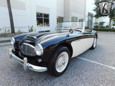 1960 Austin - Healey 3000