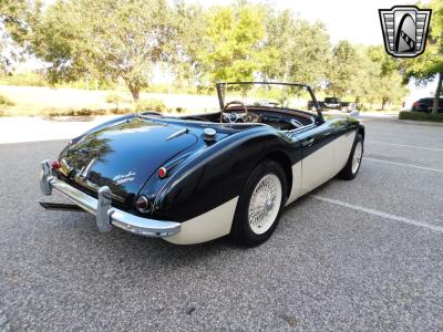 1960 Austin - Healey 3000