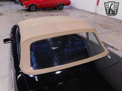 1980 Fiat Spider