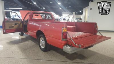 1981 Chevrolet Luv