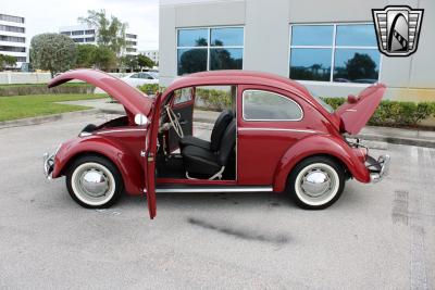 1969 Volkswagen Beetle