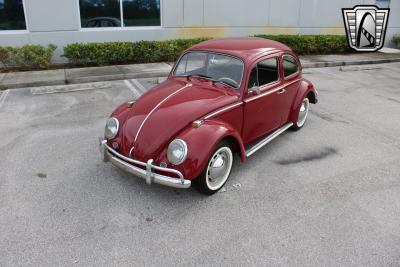 1969 Volkswagen Beetle