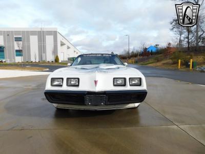 1981 Pontiac Firebird