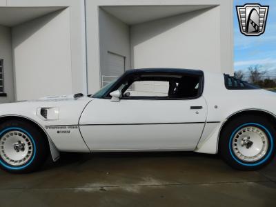 1981 Pontiac Firebird