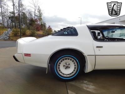 1981 Pontiac Firebird