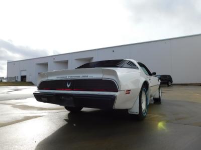 1981 Pontiac Firebird