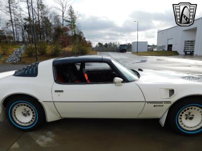 1981 Pontiac Firebird