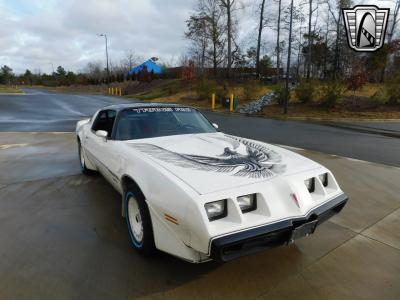 1981 Pontiac Firebird