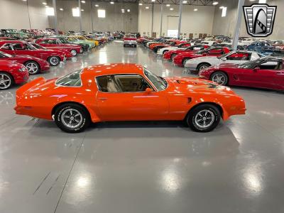 1976 Pontiac Firebird