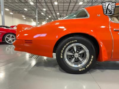 1976 Pontiac Firebird