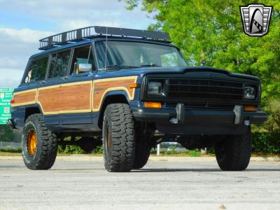 1989 Jeep Grand Wagoneer