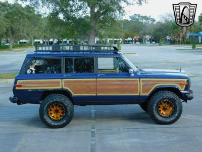 1989 Jeep Grand Wagoneer