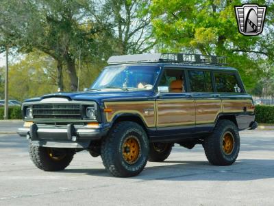 1989 Jeep Grand Wagoneer