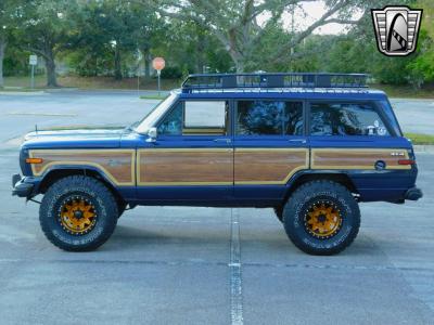 1989 Jeep Grand Wagoneer