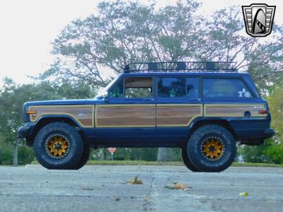 1989 Jeep Grand Wagoneer