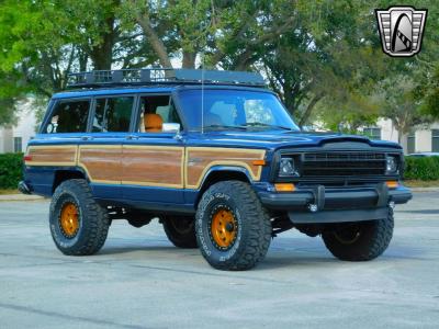 1989 Jeep Grand Wagoneer