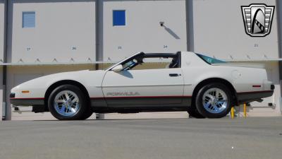 1989 Pontiac Firebird