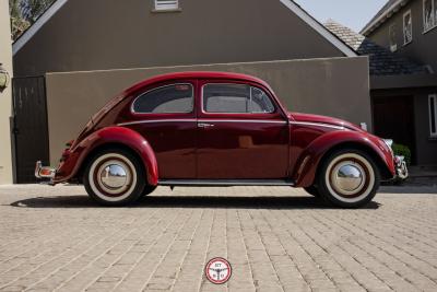 1953 Volkswagen Beetle Zwitter