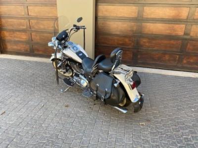 Harley Davidson Anniversary Springer Softail