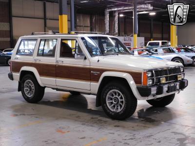 1986 Jeep Wagoneer