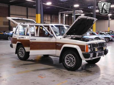 1986 Jeep Wagoneer