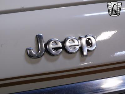 1986 Jeep Wagoneer