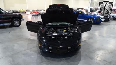 1995 Pontiac Firebird