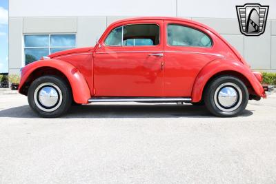 1971 Volkswagen Beetle