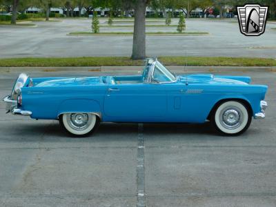 1956 Ford Thunderbird