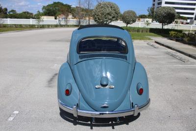 1959 Volkswagen Beetle