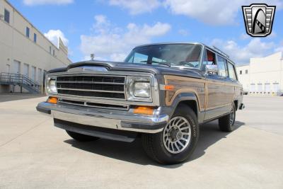 1989 Jeep Grand Wagoneer