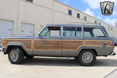 1989 Jeep Grand Wagoneer