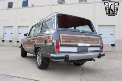 1989 Jeep Grand Wagoneer