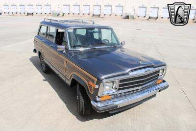 1989 Jeep Grand Wagoneer