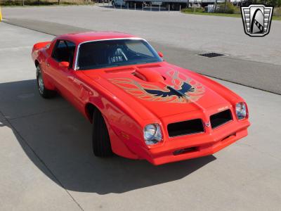 1976 Pontiac Firebird