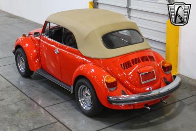 1979 Volkswagen Beetle