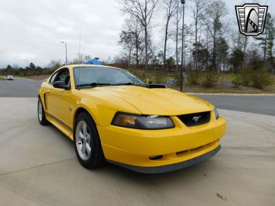 2004 Ford Mustang