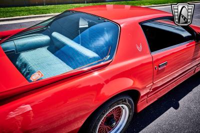 1988 Pontiac Firebird