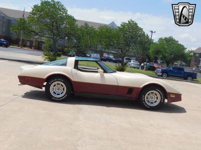 1981 Chevrolet Corvette