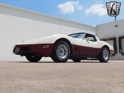 1981 Chevrolet Corvette