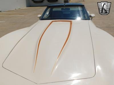 1981 Chevrolet Corvette